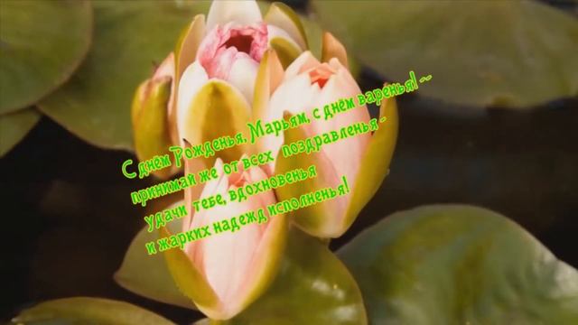 с Днём Рожденья, Марьям!!! смотреть онлайн