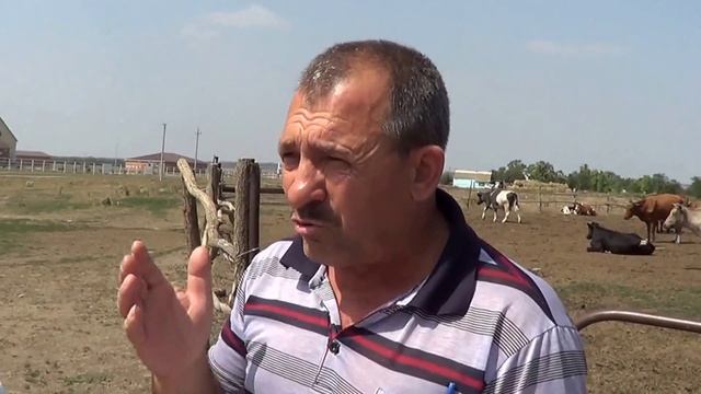 Не где пасти коров потому что всё скуплено.Конным Заводом Донским. смотреть онлайн