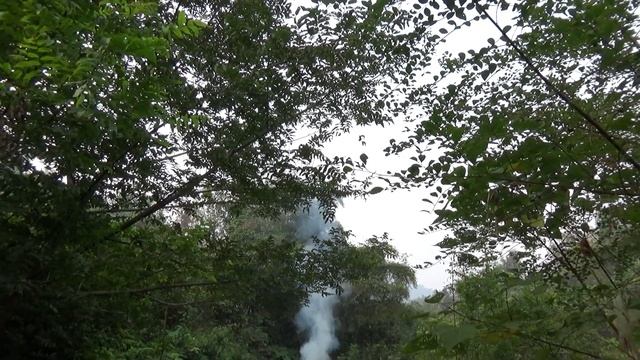 Primitive Life - Survival in the rainforest - Cooking Fish Delicious смотреть онлайн