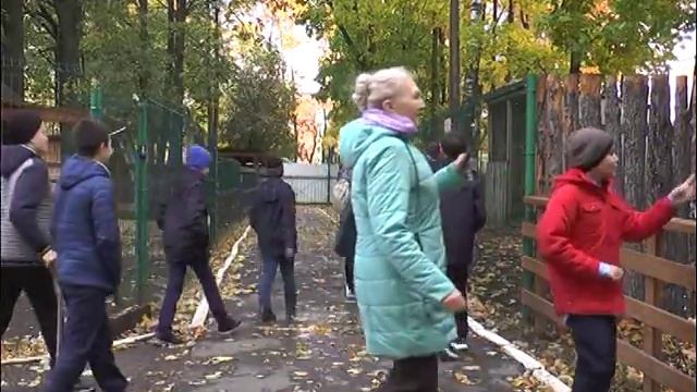 "Жизнь столицы" День животных в "Ковчеге" смотреть онлайн