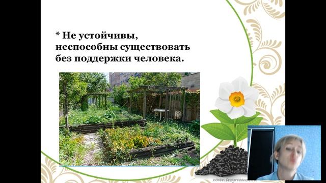 Искусственные экосистемы смотреть онлайн