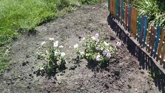 калина бульдонеж смотреть онлайн