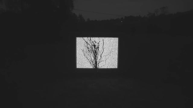 Spiritbox - The Beauty Of Suffering *OFFICIAL*