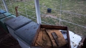 Как сохранить сушь от восковой моли.