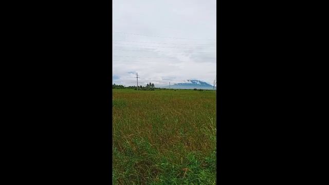 Beautiful view of nature beside MayonVolcano https://www.facebook.com/profile.php?id=10008095362671 смотреть онлайн