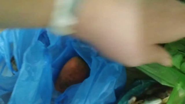 цены в Феодосии в начале ноября смотреть онлайн