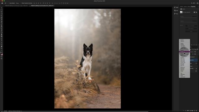 How to Apply Light Gradients in Photoshop - Tips for PERFECT moveable colour application смотреть онлайн