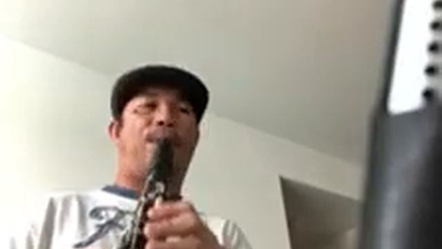 Clarinet cover of “Perfect”....first attempt смотреть онлайн