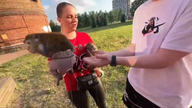строго нашел нового друга смотреть онлайн