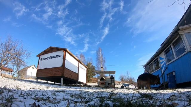 Балланс в воспитании собаки смотреть онлайн