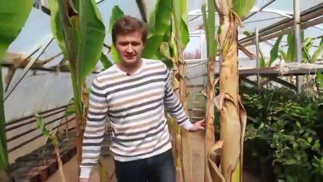 Большие города Сарыагаш смотреть онлайн