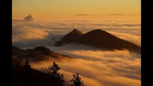 Скажите так перед тем как отдать или выбросить старую вещь