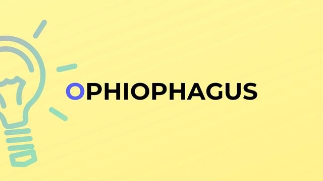 What is the meaning of the word OPHIOPHAGUS? смотреть онлайн