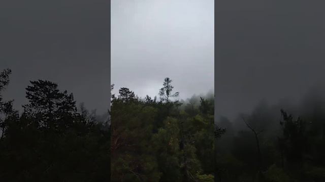 Красноярский Заповедник Столбы. смотреть онлайн