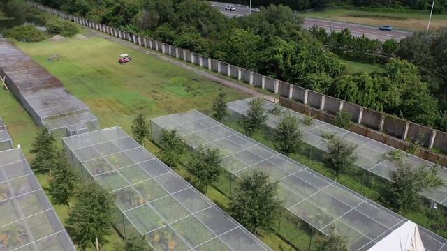 Bobcat Rehab Big Cat Rescue Aerial 10 2019 смотреть онлайн