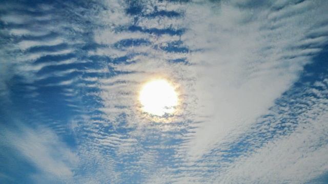 ЭТО НЕ ЛЕСТЬ , ЭТО ТАК И ЕСТЬ ! смотреть онлайн