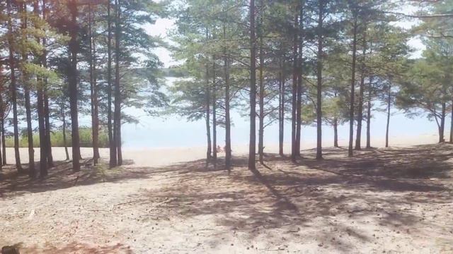 Кургальский полуостров озеро Липовское Финский зал смотреть онлайн