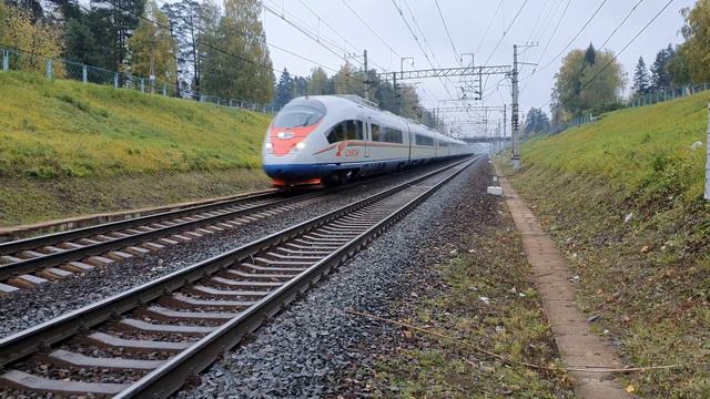 Сапсан ЭВС1-хх на подлёте к Поваровке, скорость 200 км/ч смотреть онлайн