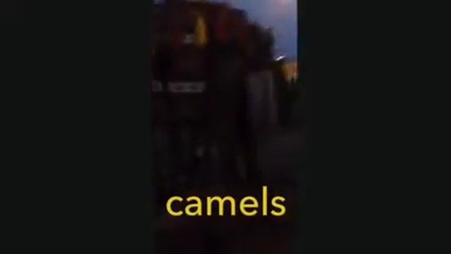 Vlog of my holiday to Turkey смотреть онлайн