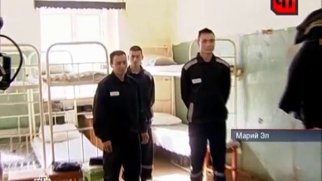 Реймер проверил колонию в Марий Эл