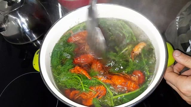 Музыкальная Студия