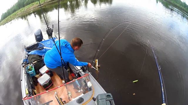 Север 2017. Отчёт. смотреть онлайн