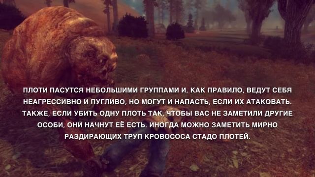 STALKER Энциклопедия #1 "Плоть" смотреть онлайн