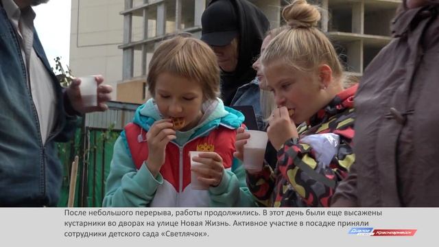 Посади свое дерево смотреть онлайн