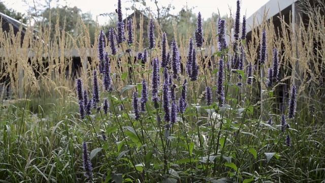 AJ BUILDING STUDY: Vajrasana Buddhist Retreat by Walters & Cohen смотреть онлайн