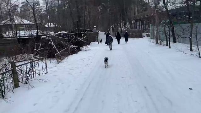 Донбасс Щурово январь 2022