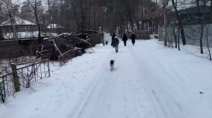 Донбасс Щурово январь 2022