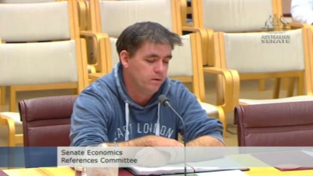 Michael Hogan, evidence to senate inquiry (part 2/2) смотреть онлайн