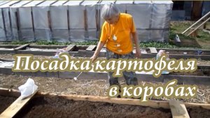 посадка картофеля в короб.mp4
