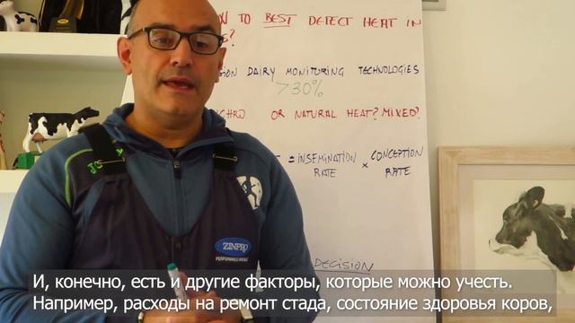 Как выявить охоту у коров? смотреть онлайн