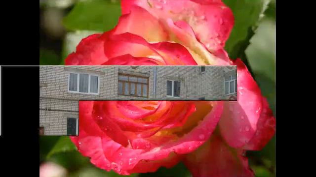 поздравление для Тани! смотреть онлайн