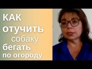 Собака бегает по грядкам и цветам. Как отучить 3 простых шага.