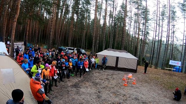 Лужские зарисовки крокодильчиков смотреть онлайн