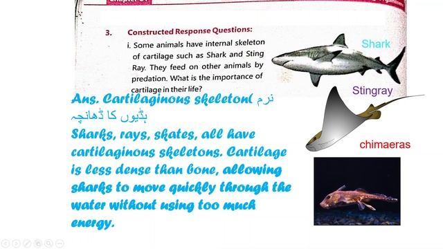 Classification of Living Organisms Part 12 Grade 5 Unit 1 Science One Nation, One Curriculum. смотреть онлайн