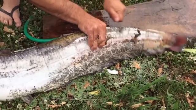 Kako se cisti som смотреть онлайн