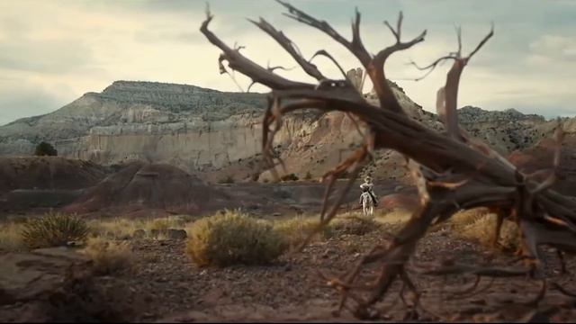 Bruno Delbonnel: A Brief Video Essay смотреть онлайн