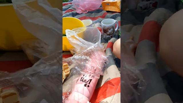 Сестрички и Даша на пикнике смотреть онлайн