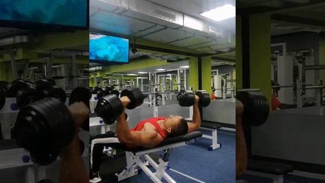 Жим гантелей лежа на наклонной скамье смотреть онлайн