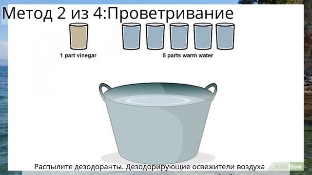 Как убрать запах скунса из дома смотреть онлайн