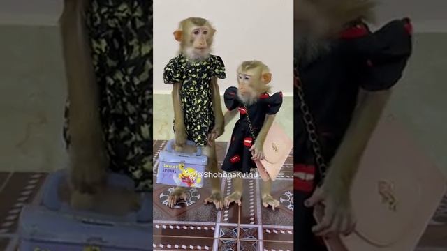 Когда гуляешь с подругой ?