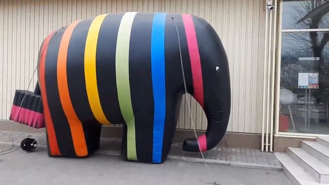 Красавчик слон 20180402 164408 смотреть онлайн