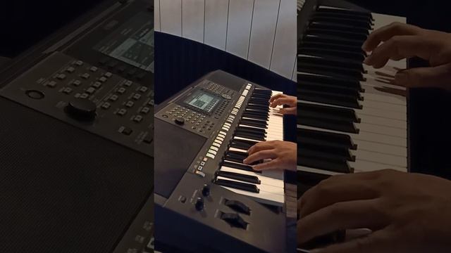Wellcome To My Paradise ( Short demo of custom styles Yamaha PSR S970 ) смотреть онлайн