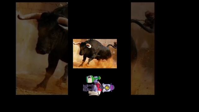 шели успокойся