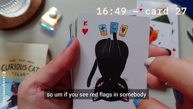 MEGA pick-a-card: weekend message | unboxing and flip-through of the curious cat club oracle cards смотреть онлайн