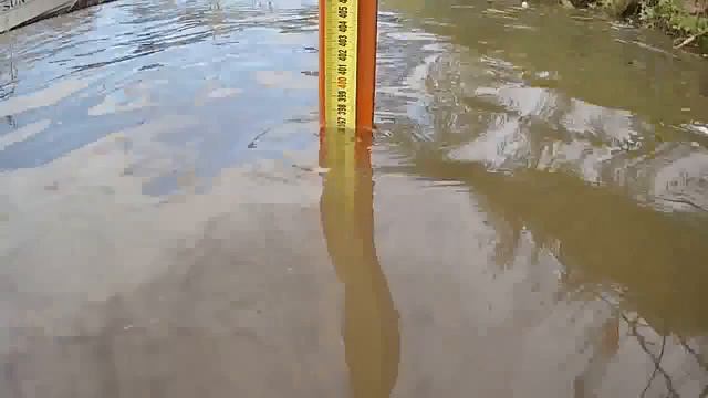 Уровень Амура у Хабаровска на DVhab.ru смотреть онлайн