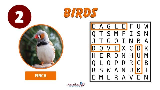 Easy Word Search - Birds смотреть онлайн